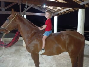 Cavalo manso pra criança