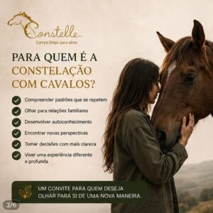 Terapia com cavalos