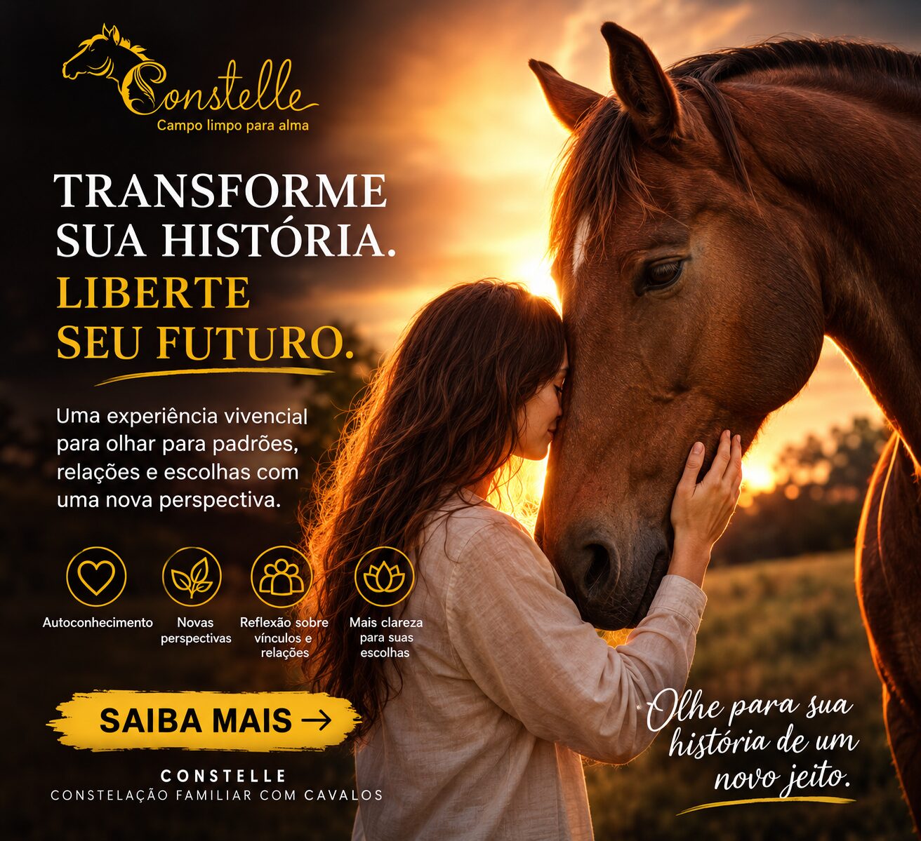 Terapia com cavalos
